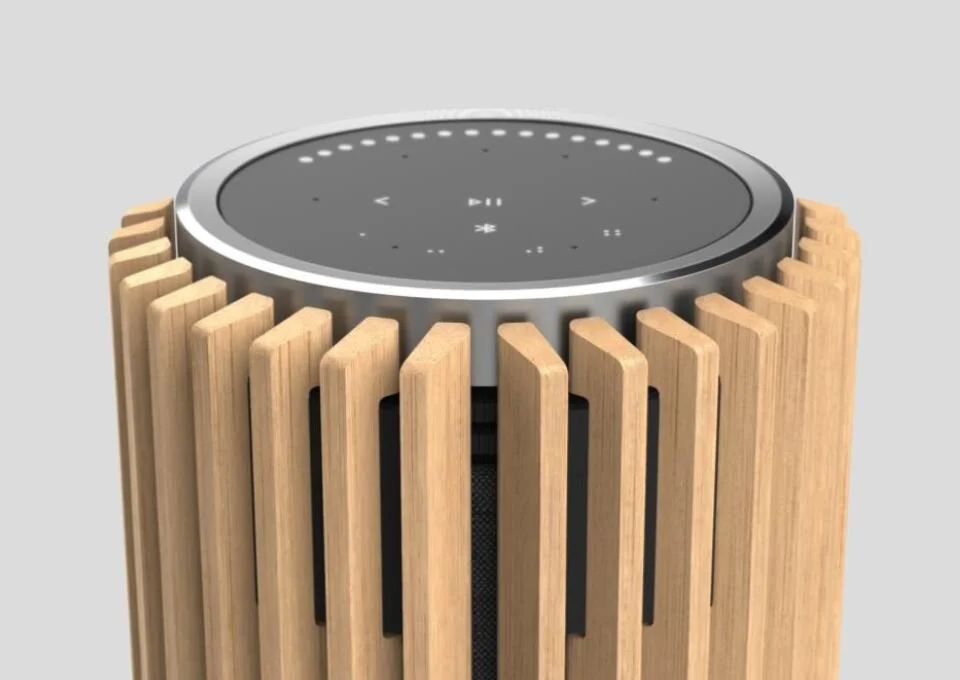 Bang & Olufsen BeoLab 28 Curtain Cover – Light Oak (varastopoisto, Oulu)