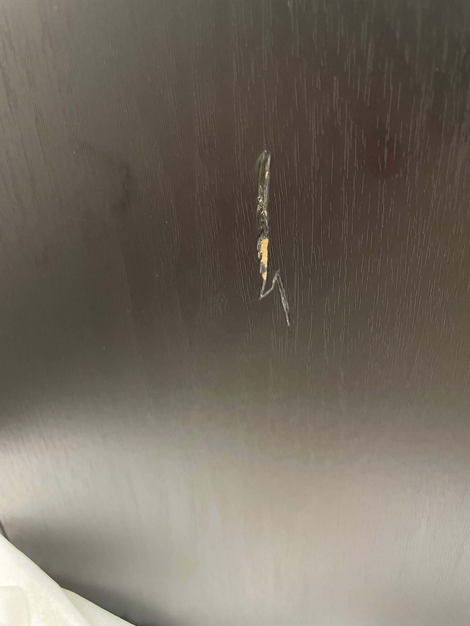 DALI Sub E-12 F - aktiivinen subwoofer (pintavaurio, Oulu) - Image 4