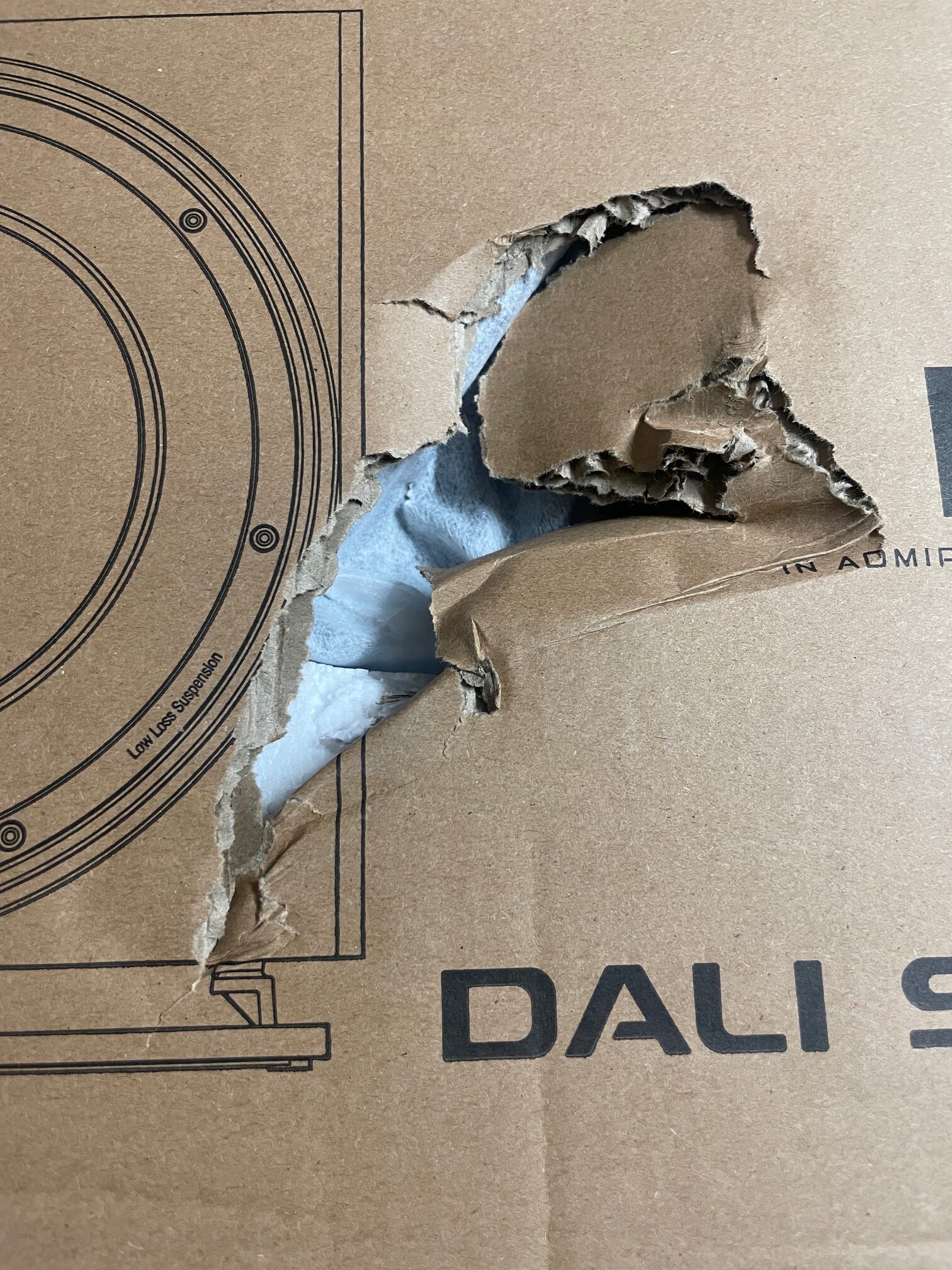 DALI Sub E-12 F - aktiivinen subwoofer (pintavaurio, Oulu) - Image 3