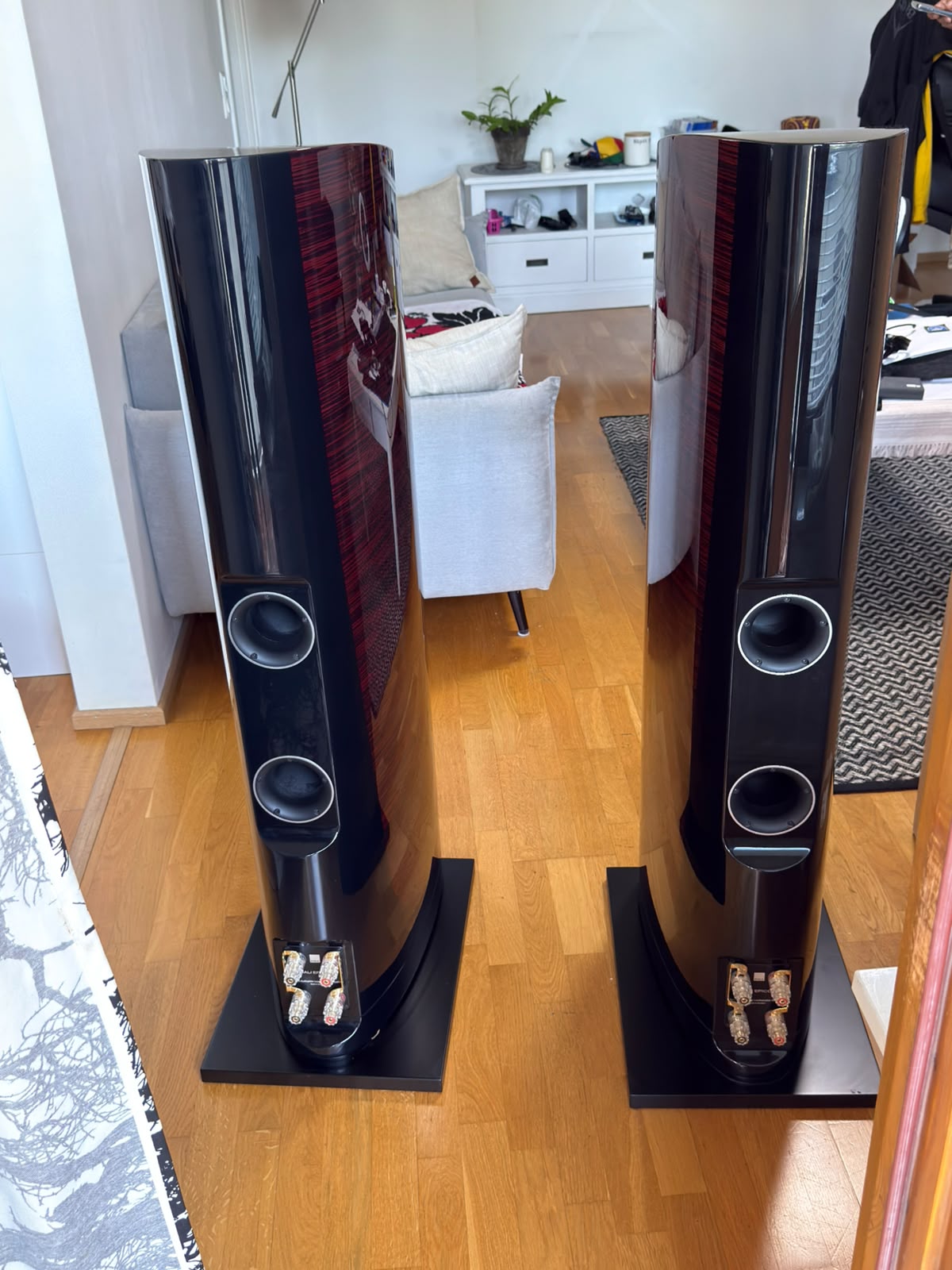 DALI EPICON 8 + Rotel MICHI X5 stereosetti - myyntitili, Oulu - Image 9